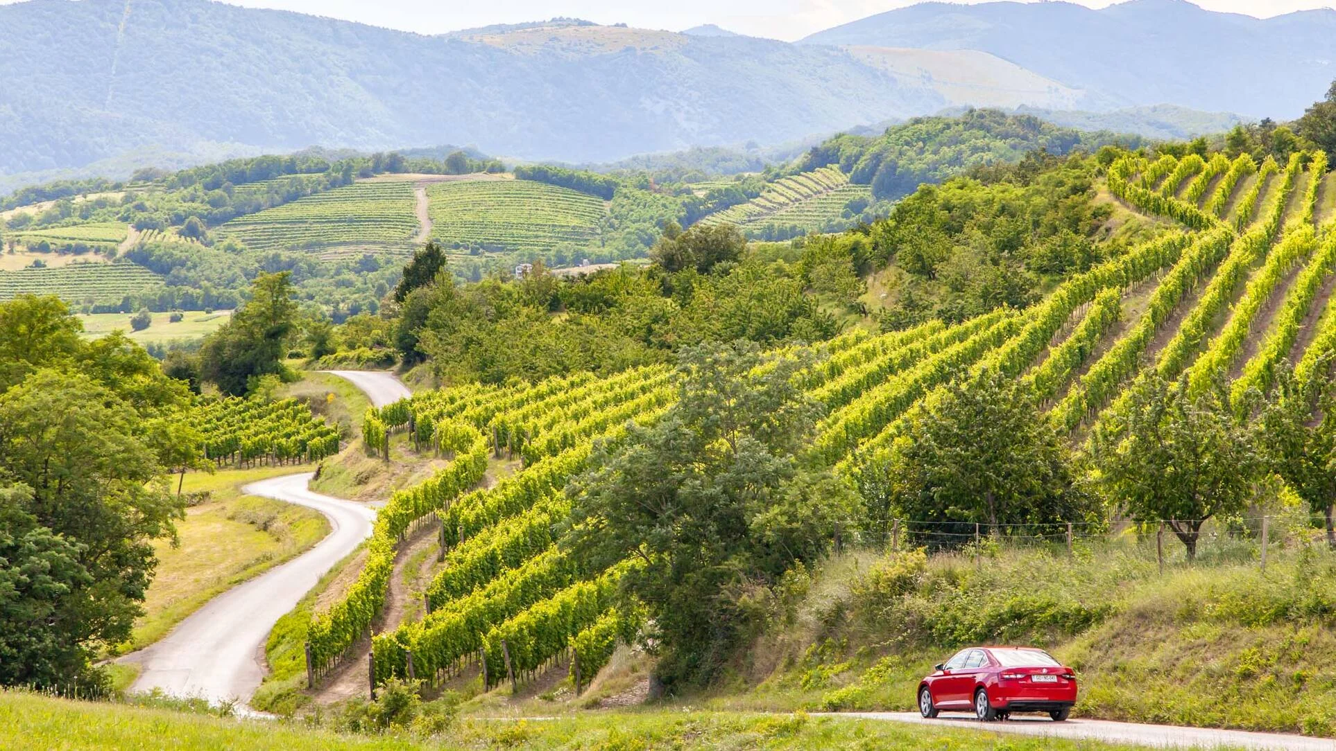 Vindag i Vipavadalen — Slovenias Toscana