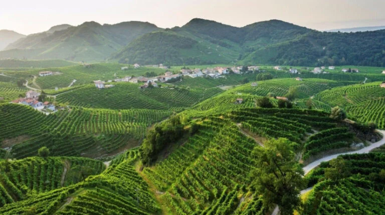 The Prosecco Hills: a day of wine in Italy