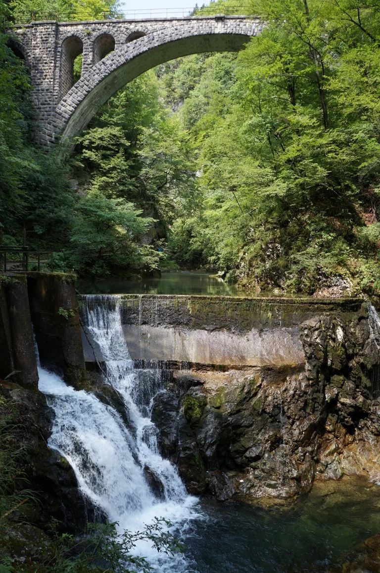 Gola di Vintgar — un sentiero nel bosco come in una favola