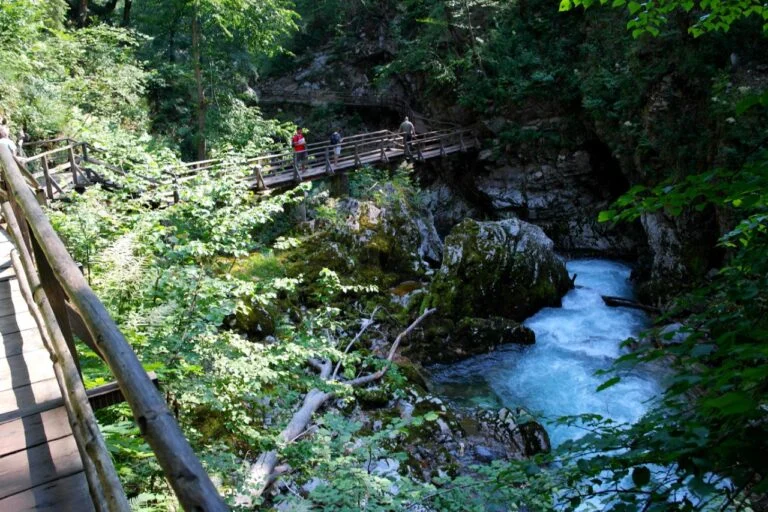 Gola di Vintgar — un sentiero nel bosco come in una favola