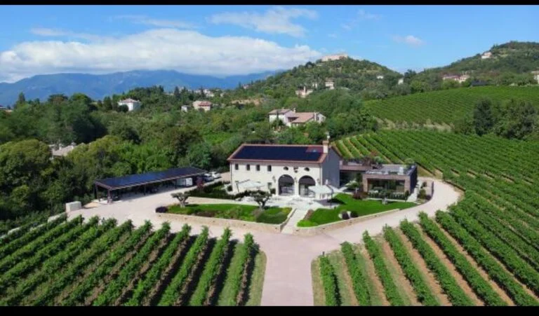 Colline del Prosecco: una giornata di vino in Italia