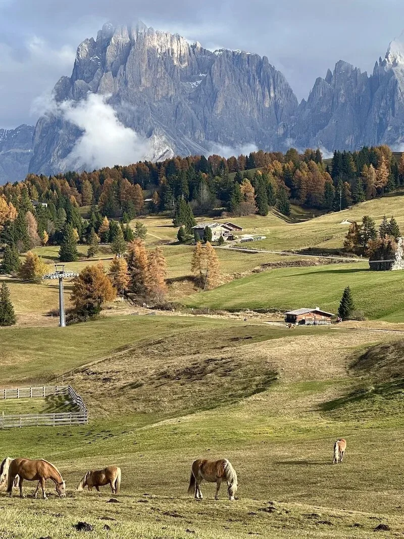 The Dolomites: the Italian Alps