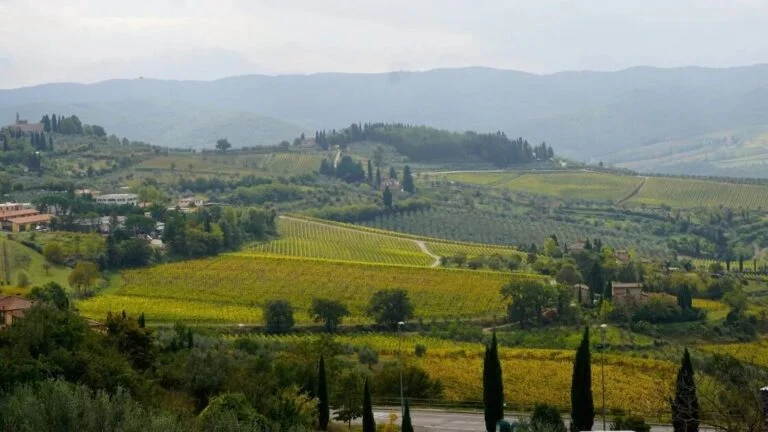 Vindag i Vipavadalen — Slovenias Toscana