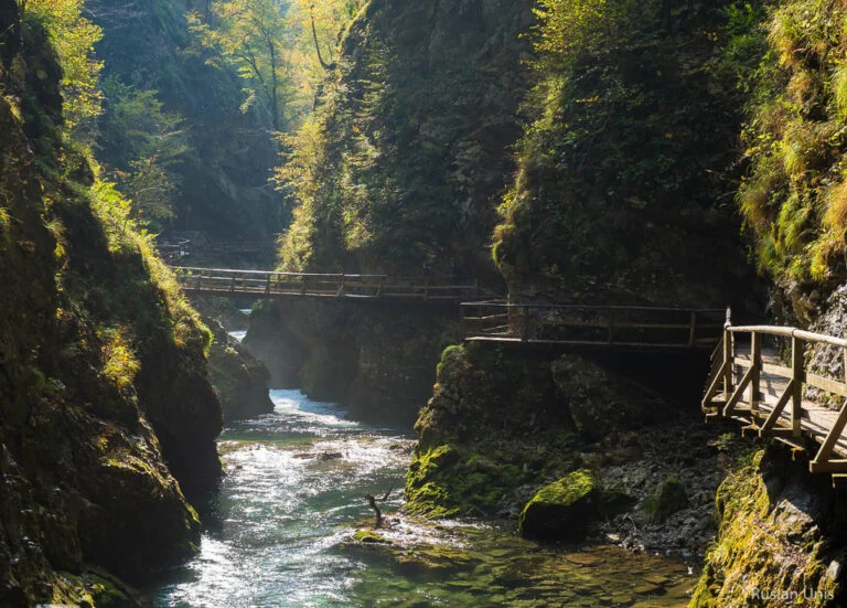 Gola di Vintgar — un sentiero nel bosco come in una favola