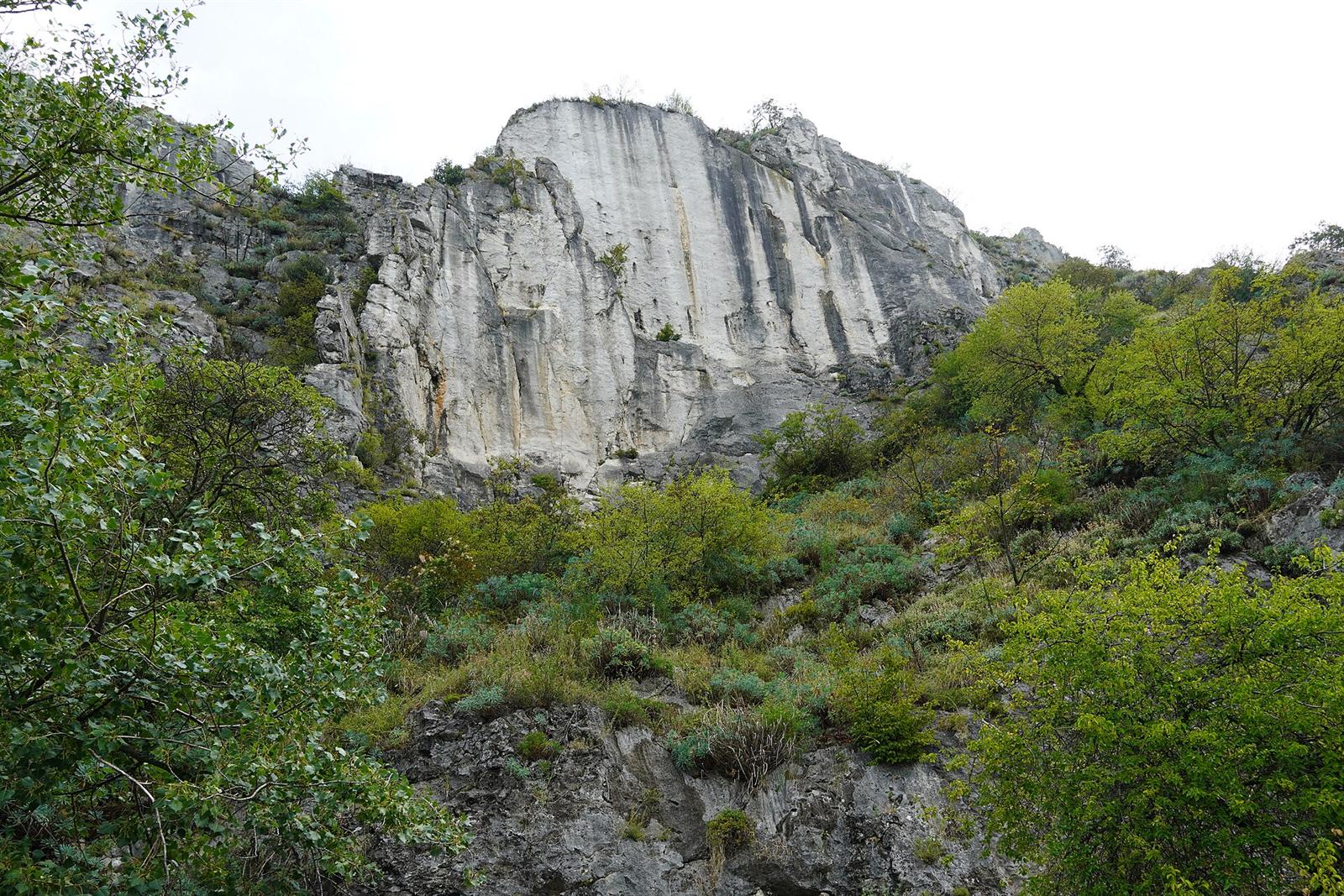 Strada Napoleonica