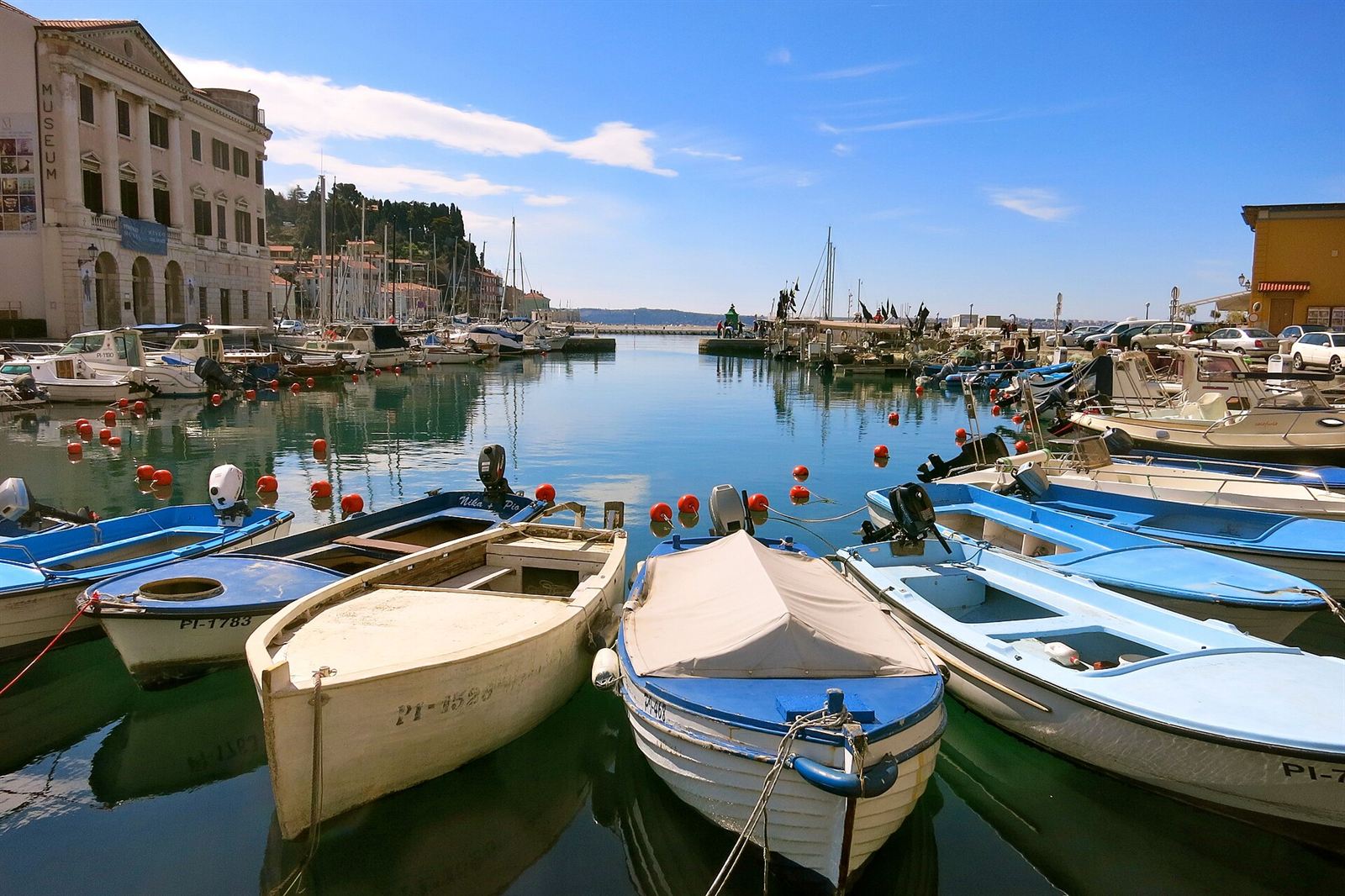 The fishing harbour