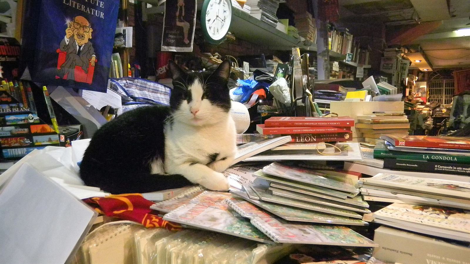 Acqua Alta bookshop